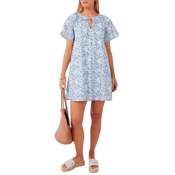 Hyacinth House Dresses & Skirts - Tuckernuck Hyacinth House Mini Dress Floral Blue Oversized Boho Spring Size XXL